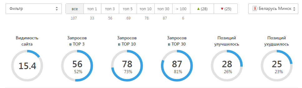 Сводка позиций в яндексе по Минску, список из 107 фраз спа-салона